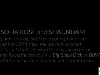 Aroused fat babe takes a big black cock